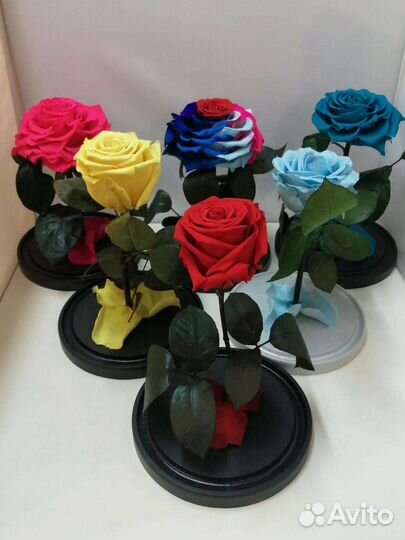 Цветы оптом