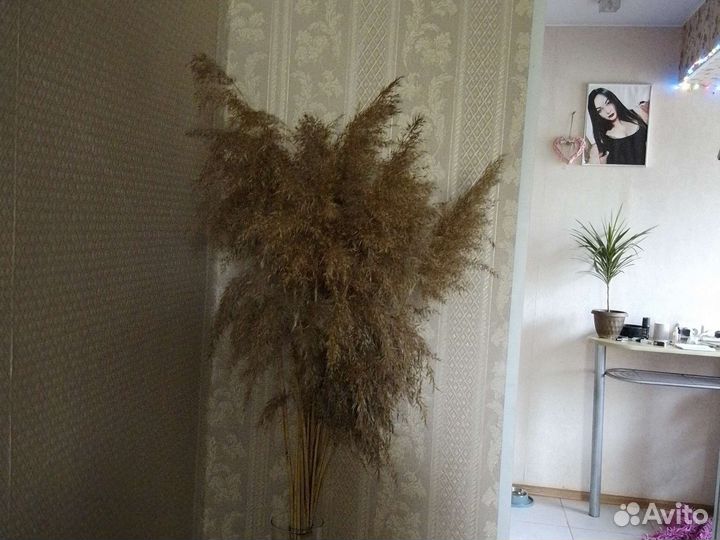 Большой букет колосков