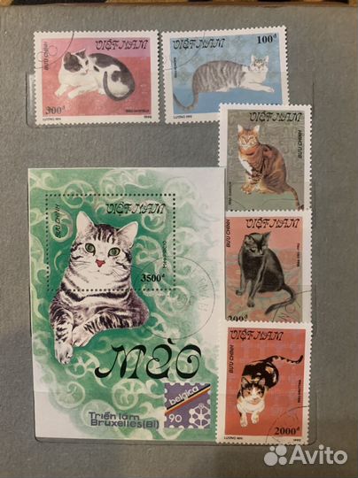 Альбом марок Кошки