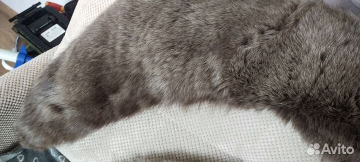 Меховой воротник