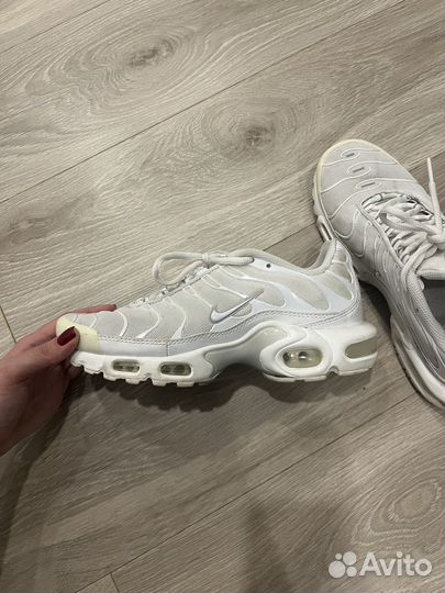 Кроссовки nike air tn plus оригинал