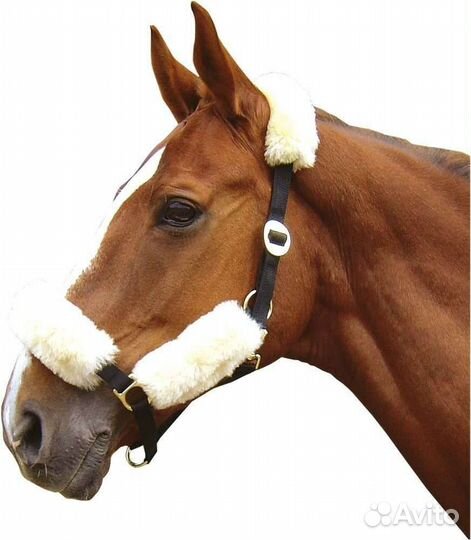 Недоуздок на лошадь