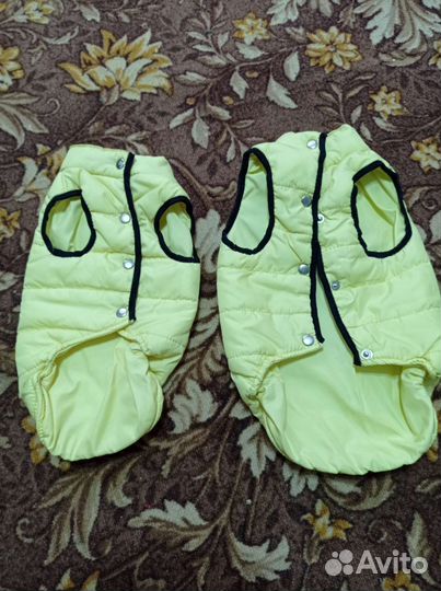 Одежда для средних собак