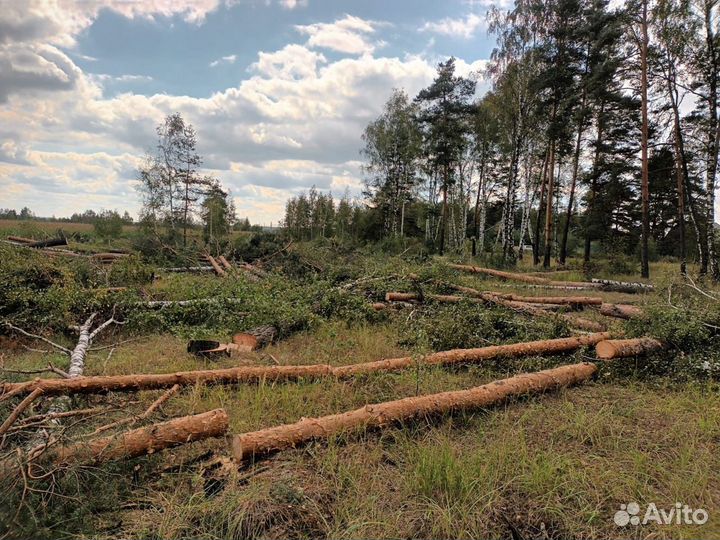 Расчистка участка спил деревьев