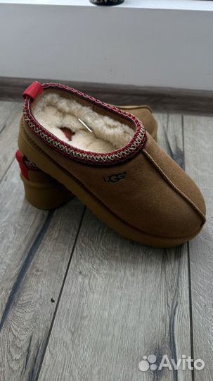 Ugg tazz 40,41