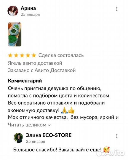 Стабилизированный мох ягель