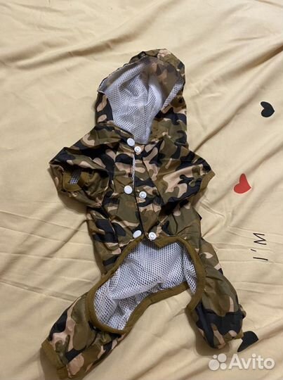 Одежда для маленьких собак