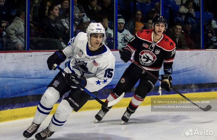 Тренер по хоккею(Лёд,офп,бросковая зона)