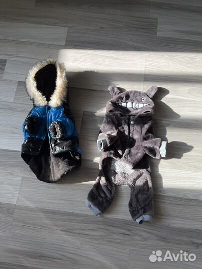 Одежда для маленьких пород собак