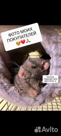 Клетка новая для грызунов