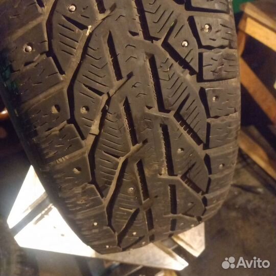 Tigar Ice 215/55 R17