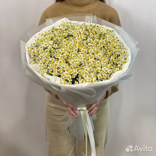 Дети солнца