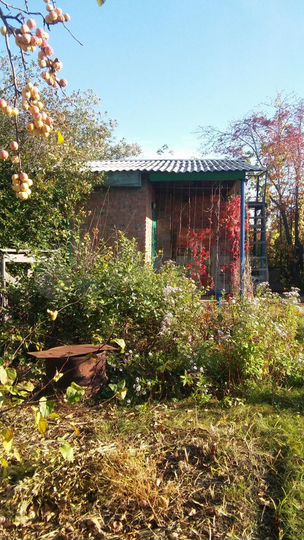 Дача 40 м² на участке 6 сот.