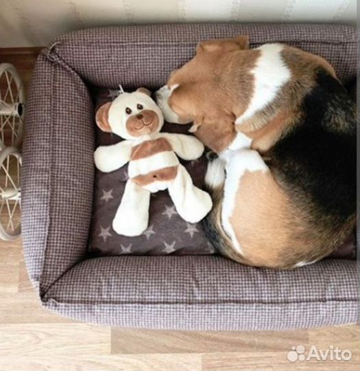 Лежанка для кошек и собак