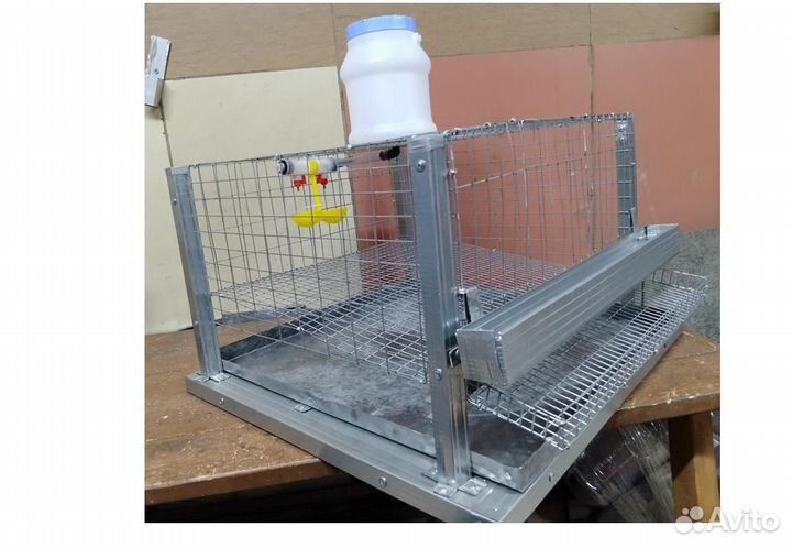 Клетки для перепелов