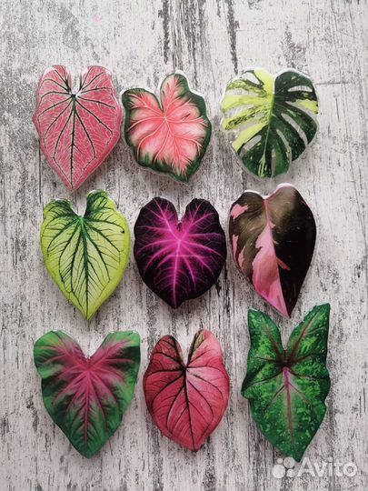 Попсокет для телефона