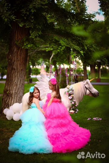 Прокат лошадей