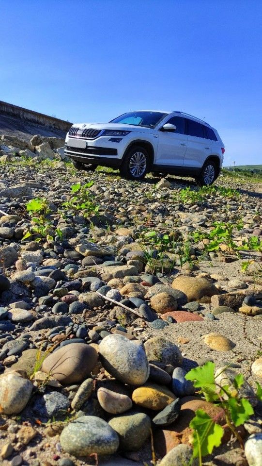 Skoda Kodiaq: фото владельца