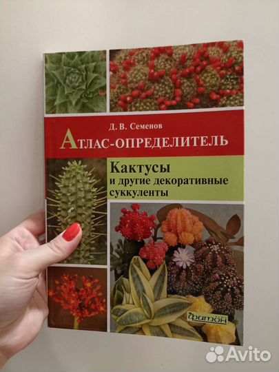 Атлас-опред. Кактусы и другие суккуленты. Семёнов