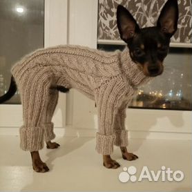 Одежда для собак - купить в интернет-магазине в Минске с доставкой | Интернет магазин ГиперЗоо