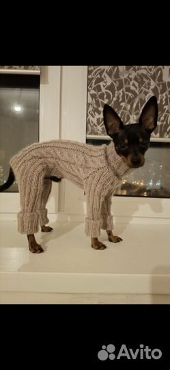 Вязаная одежда для собак и кошек