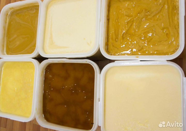 2024 Мёд натуральный с Алтая оптом