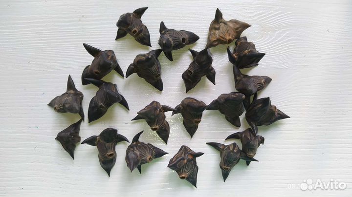 Каштаны, жёлуди, ракушки