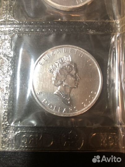 Серебряный канадский доллар цена за 2 шт