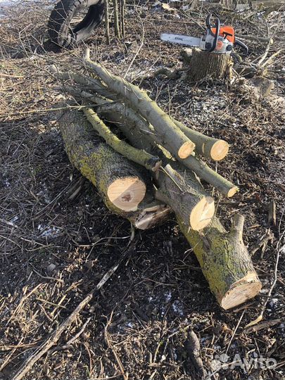 Дрова бесплатно самовывоз