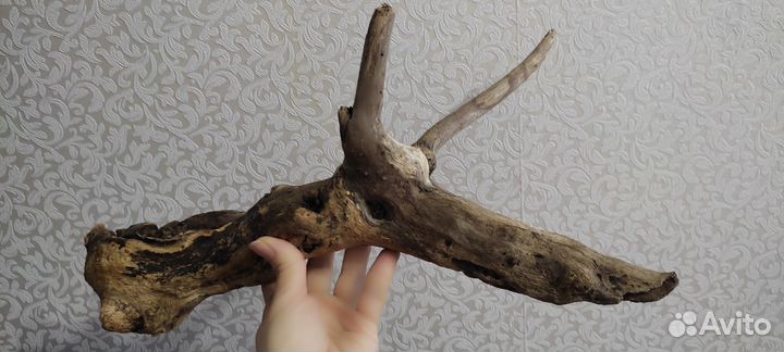 Дрифтвуд коряга для декора, интерьера