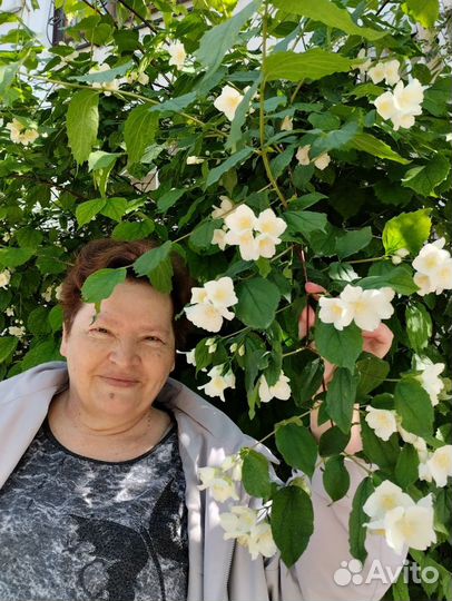 Репетитор начальных классов с выездом на дом