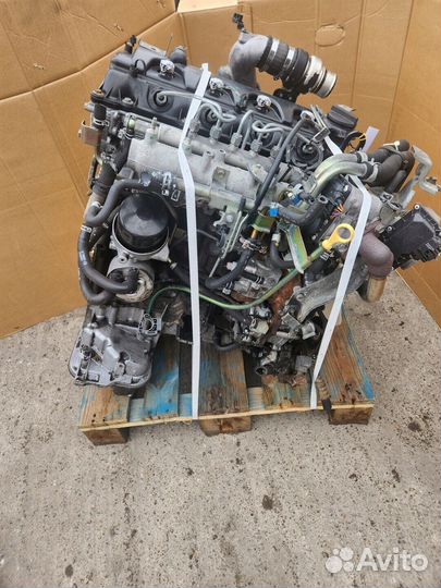 Двигатель Nissan Pathfinder R51 YD25DDT, V9X, VQ40