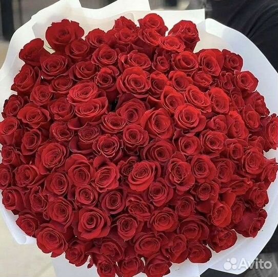 Высокие розы Гигантские розы с доставкой