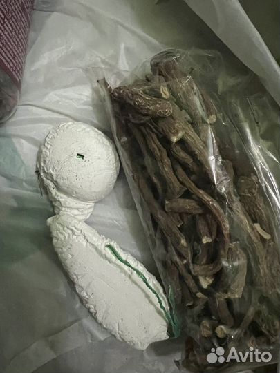 Все для шиншиллы