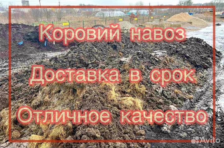 Навоз коровий