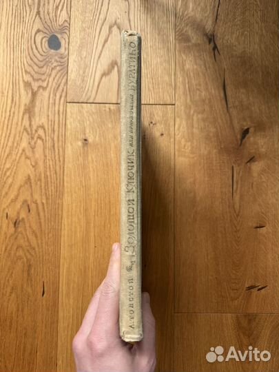 1973 Золотой ключик, или приключения Буратино