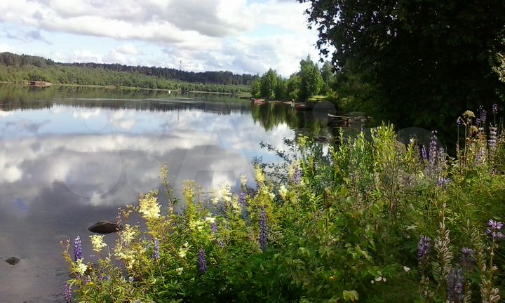 Участок 15 сот. (ИЖС)