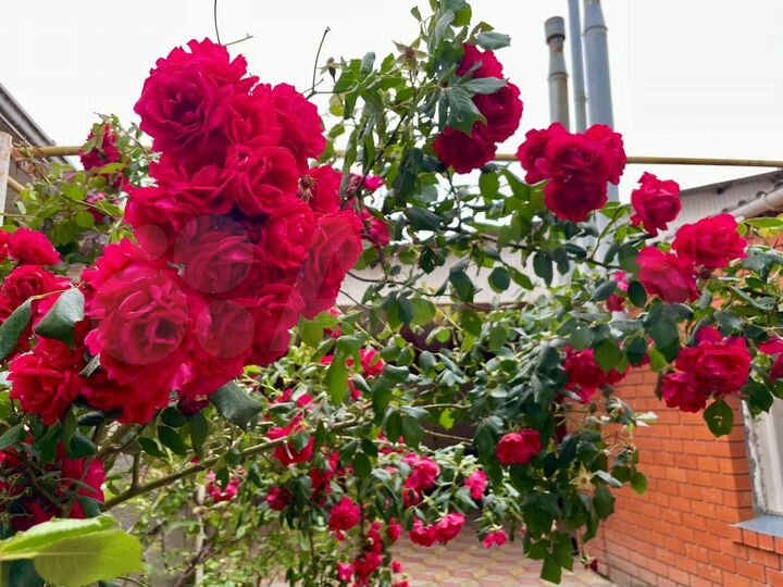 Дом 65,2 м² на участке 6 сот.