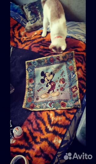 Клавиатура микки маус