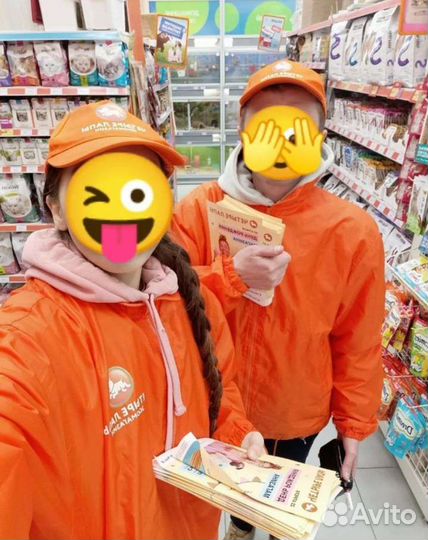 Промоутер, ростовые куклы, сбор контактов