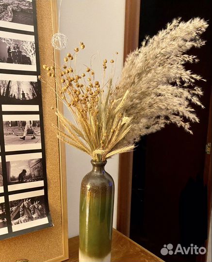 Сухоцветы/Камыш