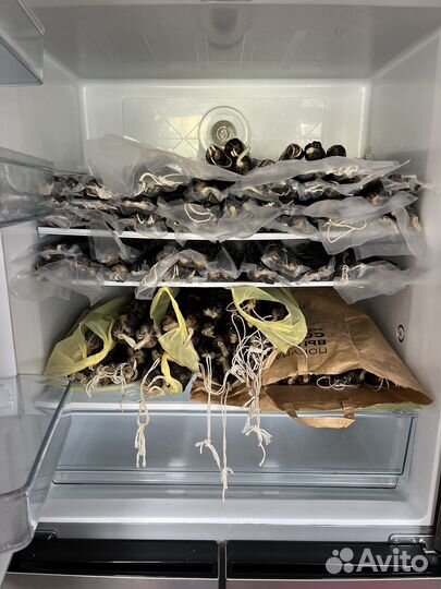 Казлык, (казылык ) конская колбаса, махан