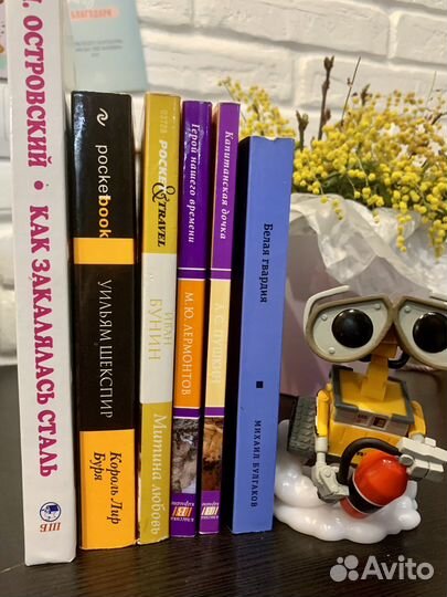 Книги пакетом русская классика школьная программа