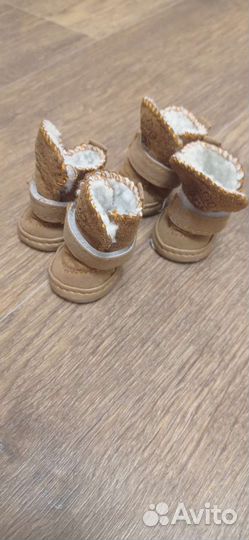 Обувь для маленьких собак