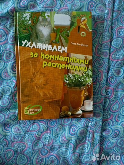 Ухаживаем за комнатами растениями