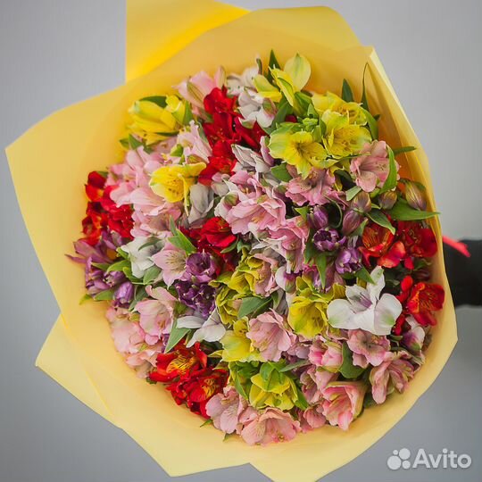 Цветы Альстромерии букет