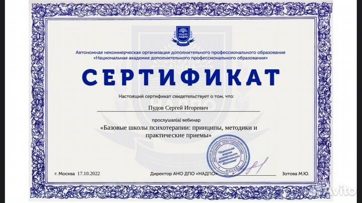 Кризисный психолог