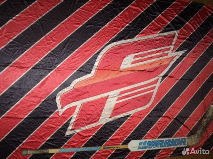 Флаги, знамёна Авангарда