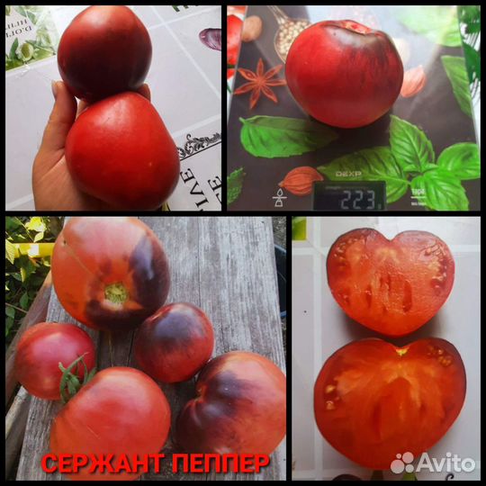 Семена коллекционных томатов