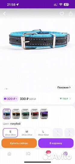 Ошейник и поводок для собаки